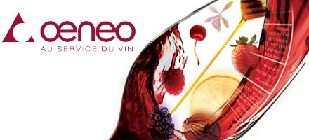 OENEO : des techniques modernes pour un vin de qualité