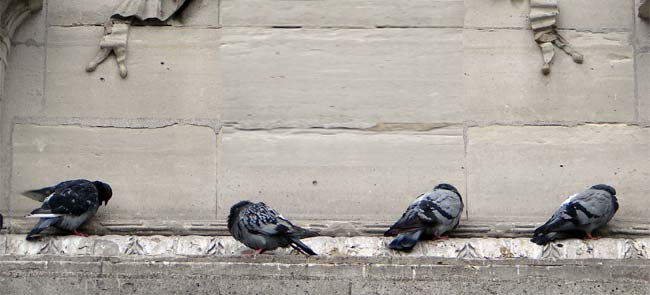 Fiscalité : les «pigeons» déclarent l'état d'urgence entrepreneurial 