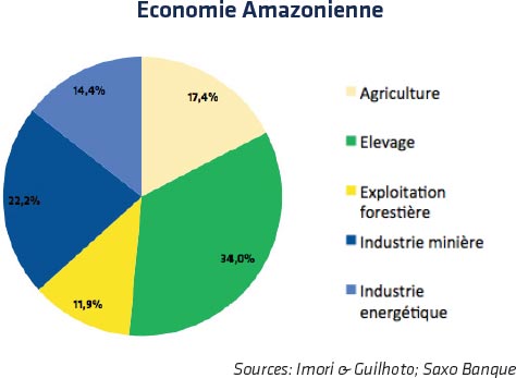 Economie Amazonienne