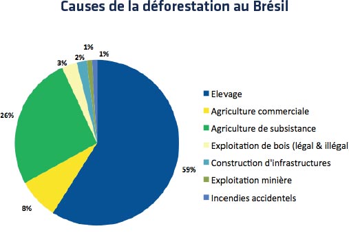 Cause de la déforestation au Brésil