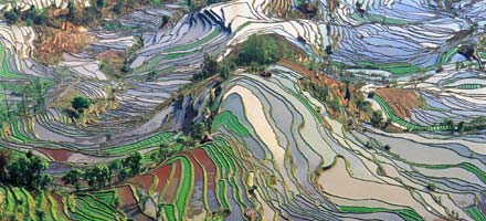 Le plan quinquennal Chinois aura un impact positif sur la filière agricole - (Amundi)