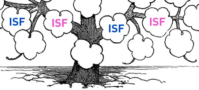 L'ISF, une affaire de famille