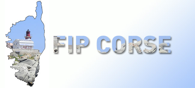 FIP Corse & FIP Outre-mer : investissement à-propos ou pure aubaine fiscale 
